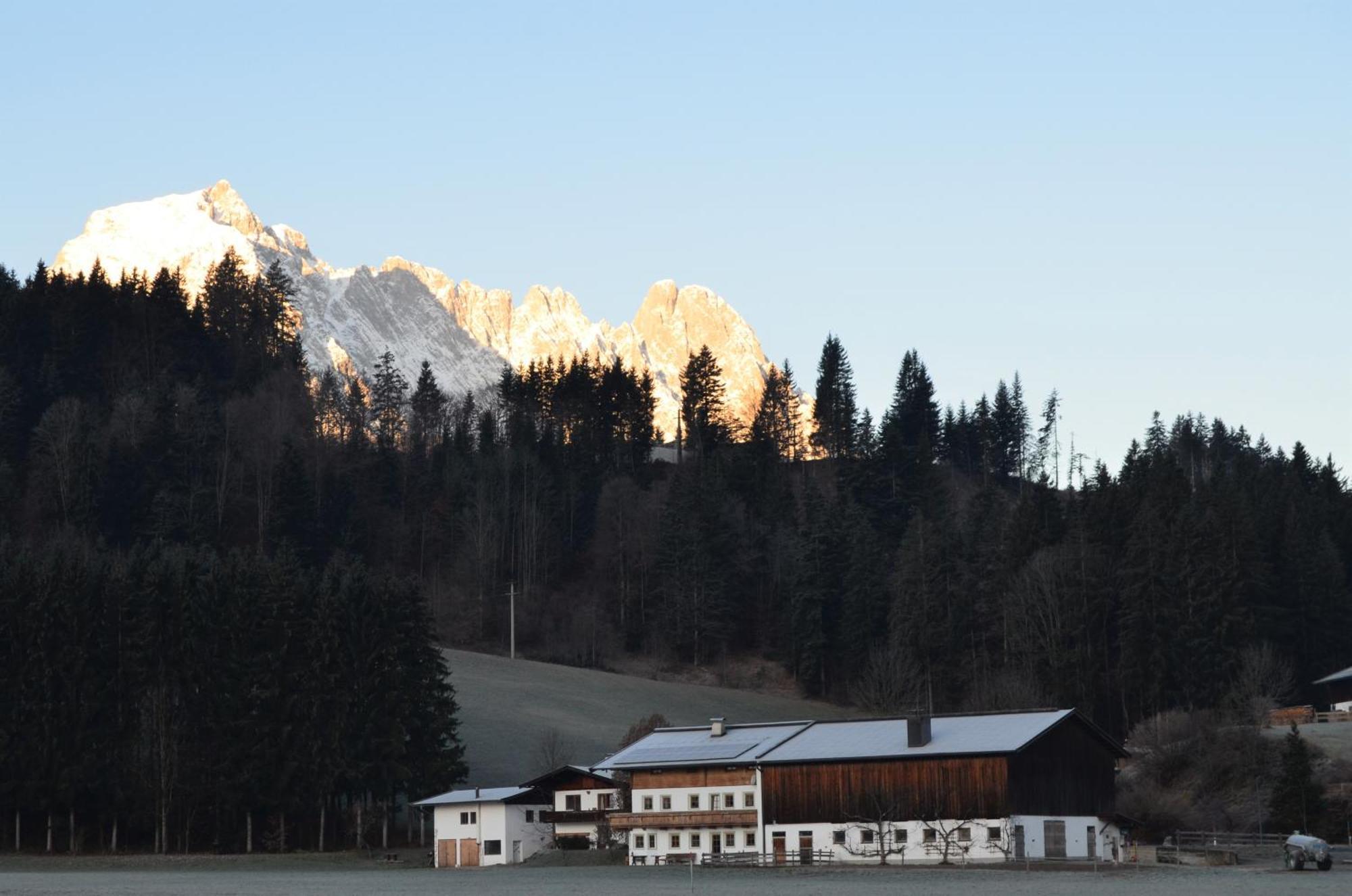 Haus Treffer Hotel Kirchdorf in Tirol Exterior foto
